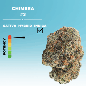 EXOTIC CHIMERA #3 FLOWER STICKER