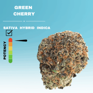 EXOTIC GREEN CHERRY FLOWER STICKER