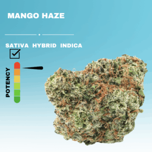 EXOTIC MANGO HAZE FLOWER STICKER