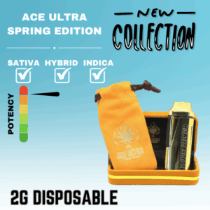 ACE ULTRA SPRING EDITION 2G DISPO