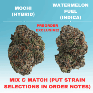 [PREORDER] BUY TWO 28G EXOTICS GET ONE FREE!