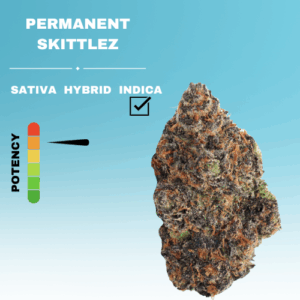 EXOTIC PERMANENT SKITTLEZ FLOWER STICKER