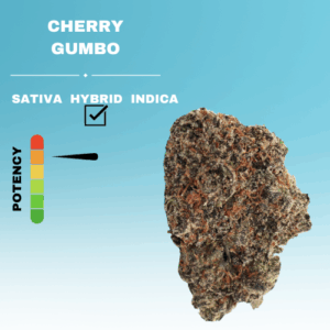 EXOTIC CHERRY GUMBO FLOWER STICKER