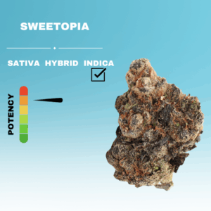 EXOTIC SWEETOPIA FLOWER STICKER