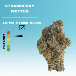 EXOTIC STRAWBERRY FRITTER FLOWER STICKER