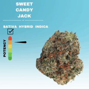 EXOTIC SWEET CANDY JACK FLOWER STICKER