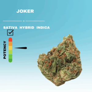 HQ JOKER FLOWER STICKER