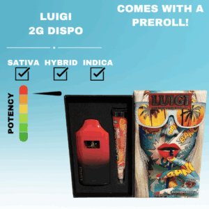 LUIGI 2G DISPO [WITH PREROLL]